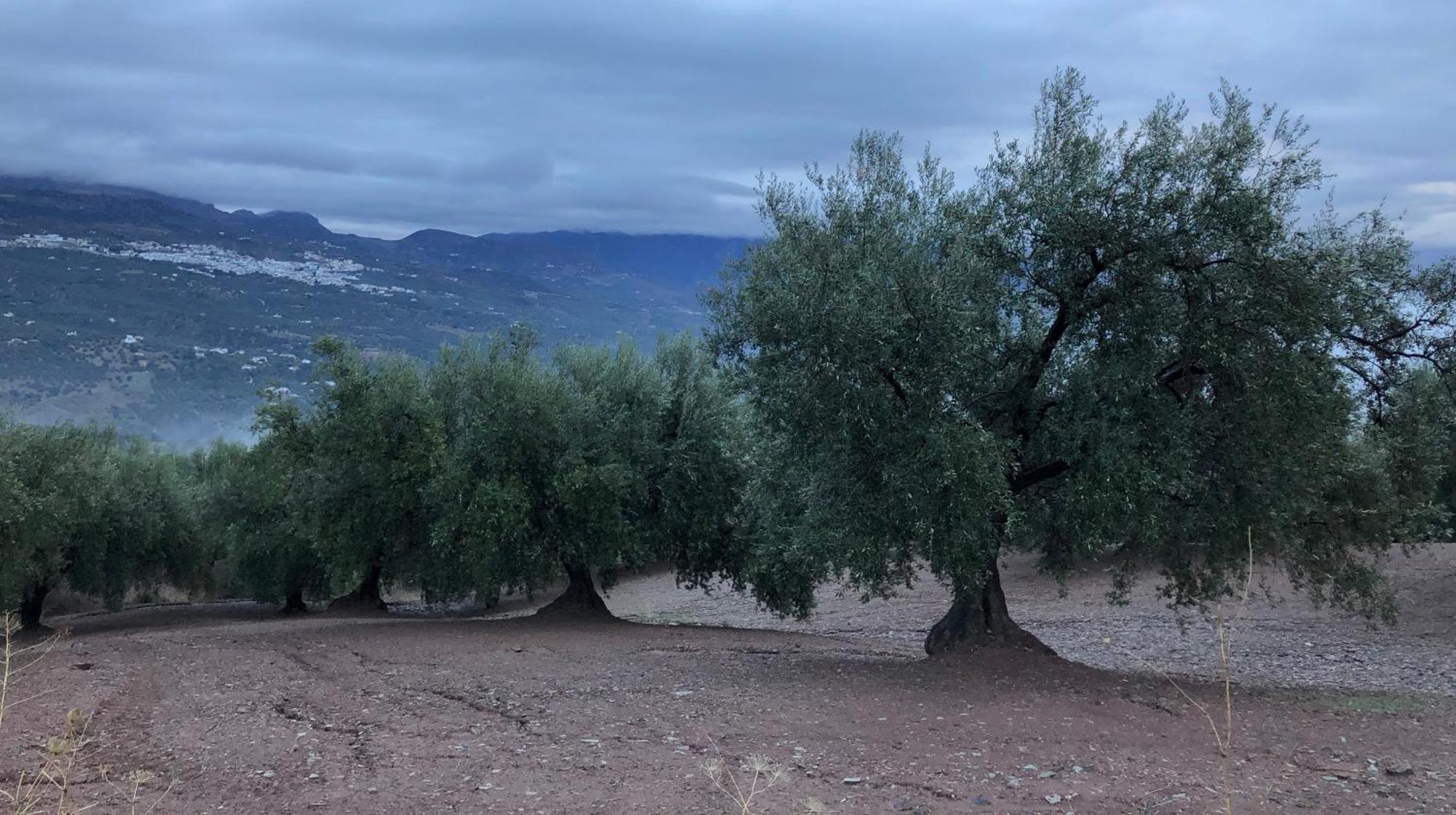 Villa La Fuente Mondrón Екстериор снимка